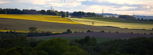 This landscape photograph captures Sutton Scarsdale Hall amidst glowing agricultural fields in Derbyshire, England, United Kingdom. The image was taken during the evening in mid-spring, as evidenced by the lush green foliage and the vibrant yellow fields illuminated by the low sunlight. The historic Sutton Scarsdale Hall stands prominently on a gentle hill, surrounded by expansive farmland with patchwork fields characteristic of rural agricultural areas in Derbyshire. The scene showcases the beauty of spring in the English countryside, highlighting the harmony between the iconic architecture of Sutton Scarsdale Hall and the productive agricultural landscape.